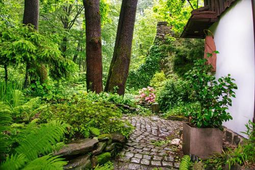 Apartamento Japonicum
