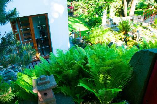 Apartamento Japonicum