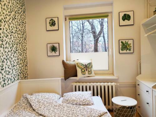 Centrum Apartament Bolka