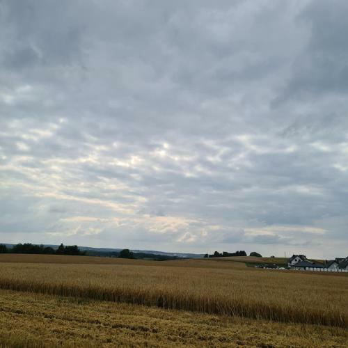 Sowi Dworek