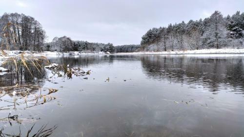 Agroturismo Dom Z Basenem Nad Narwia