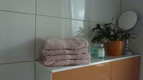 Apartament Le?ny
