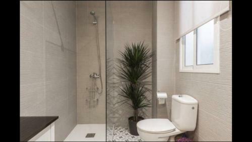 Apartamento Reina