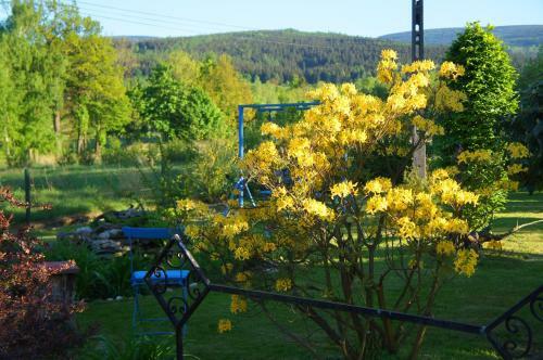 Apartamento Dom Na Przedg�rzu