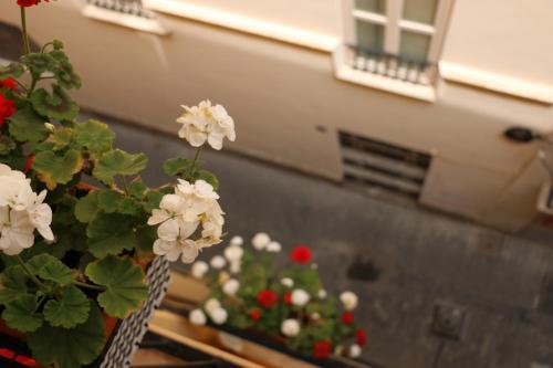Apartments Abate 4
