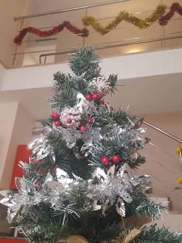 Apartments Abate 4