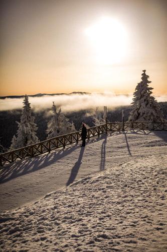 Ski&sun Apartamenty