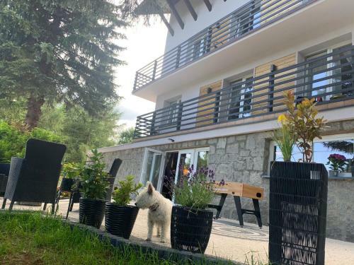 Apartamento Na Stoku