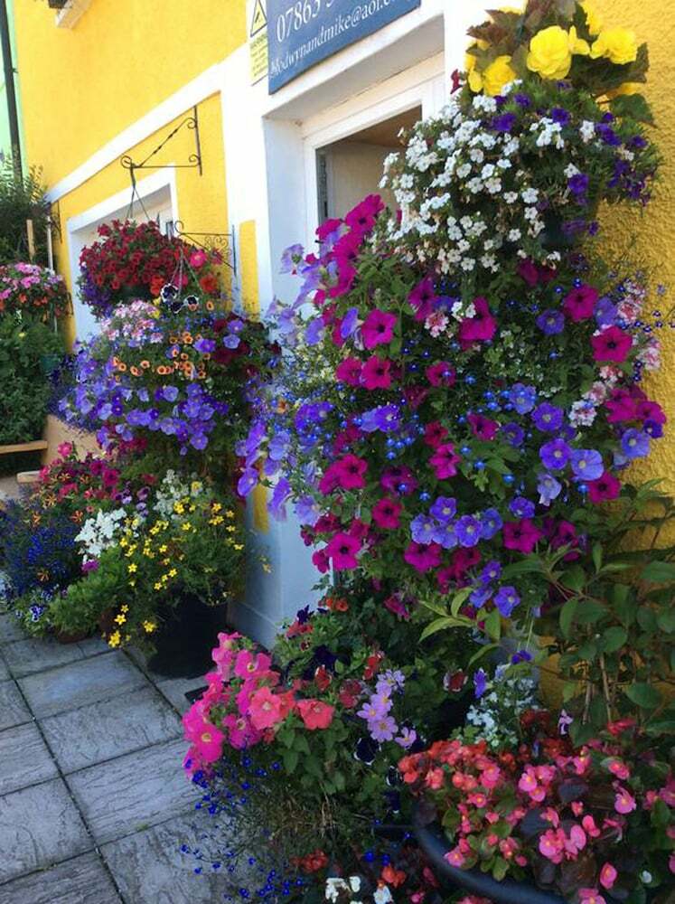 Bed & Breakfast Globe Guest House