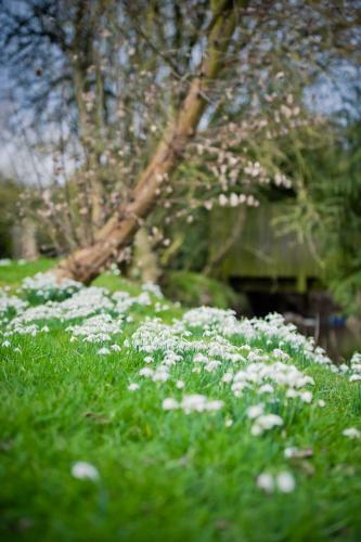 Bed & Breakfast Walford Court