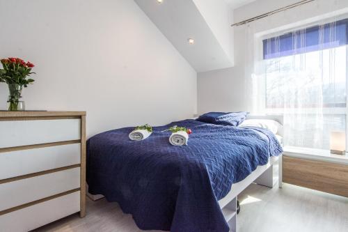 Apartamenty Izerskie - Ul. Sienkiewicza 9