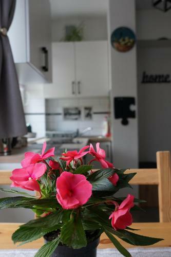 Apartamento ?owca Pienin
