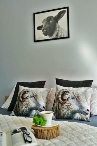 Apartamento ?owca Pienin