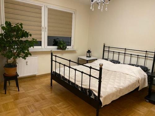 Apartament Arko?ska