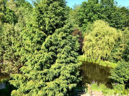 Agroturismo Sielski Zak?tek Tokary
