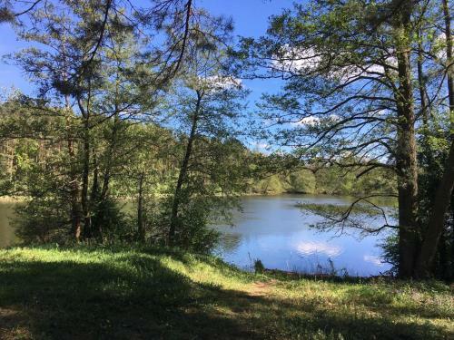 Lodge Domek Z Bali Tryszczyn Nad Brd?