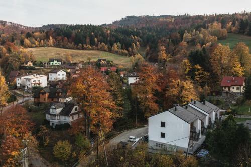 Czarna Owca Apartament - Skrzyczne Residence