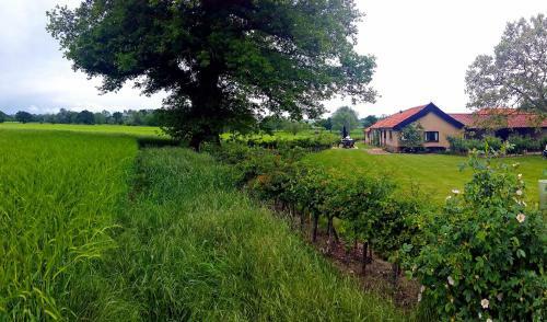 Duleep Singh Barn