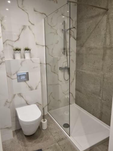 Apartament Turkusowy Al Bielska 155 M54