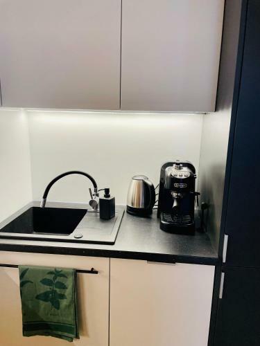 Uroczy Apartament 38 M2 Tychy, ?l?skie Ogrody