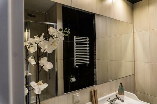 Apartamenty Tychy Barona