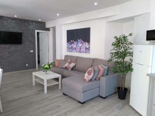 New Apartment Bioparc