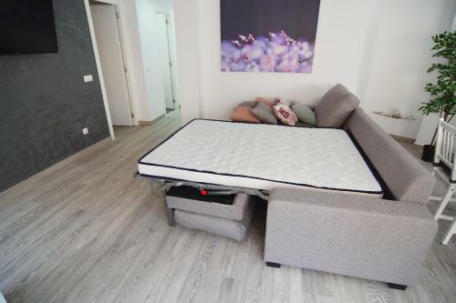 New Apartment Bioparc
