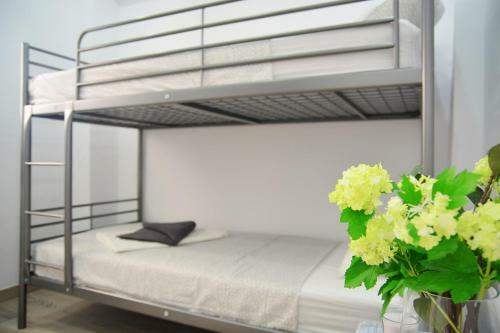 New Apartment Bioparc