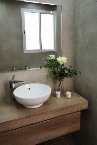 New Apartment Bioparc