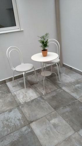 New Apartment Bioparc