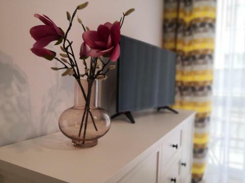 Apartament Joy