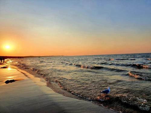 Apartamento Baltic Dream