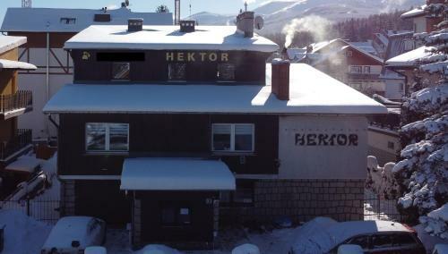 Bed & Breakfast Willa Hektor