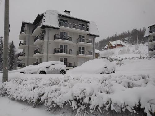 Apartamenty Amika
