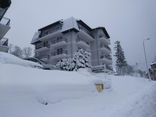 Apartamenty Amika