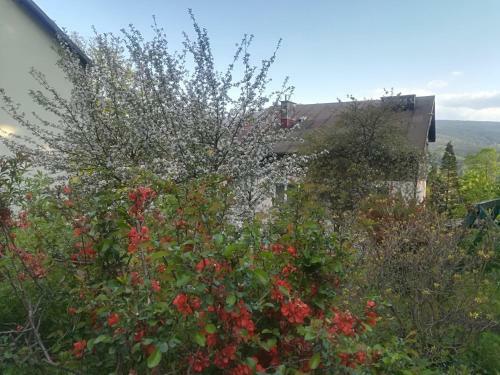 Apartamento Dom Go?cinny "pod Si�demk?"