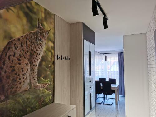 Apartament Ry?