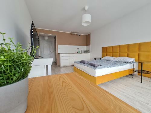 Apartamenty Horzyca