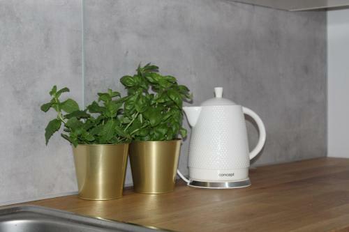 Apartament Diamentowy