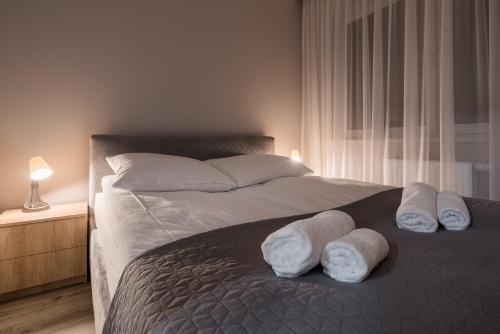 Apartament K2 Pu?askiego 1