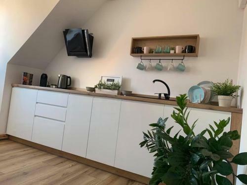 Apartamento Szepty Mansardy