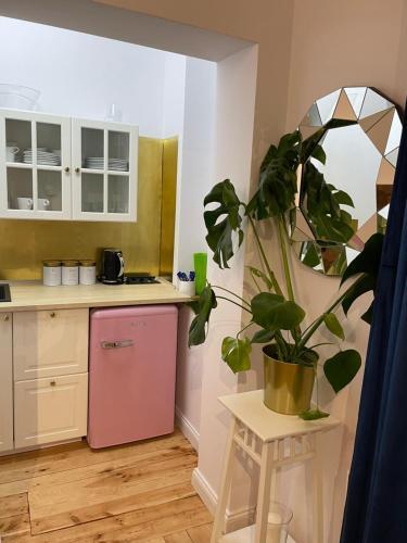 Apartamento Willa 1936