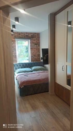 Apartament Szwed-pol