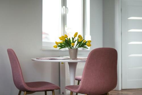 Apartament Ul. ?rednia 15 W?growiec