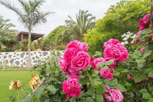 Agroturismo Canarian Farm With Pool Los Paredones