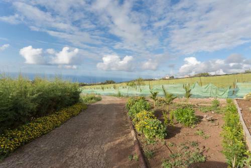 Agroturismo Canarian Farm With Pool Los Paredones
