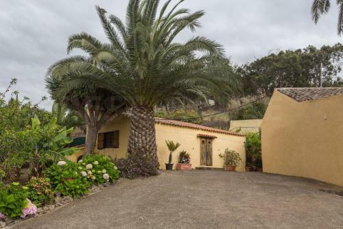 Agroturismo Canarian Farm With Pool Los Paredones