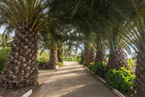 Agroturismo Canarian Farm With Pool Los Paredones