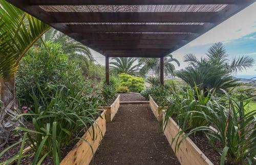Agroturismo Canarian Farm With Pool Los Paredones