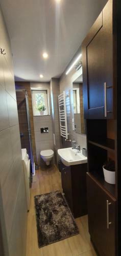 Apartament A&s Widok W Wa?brzychu